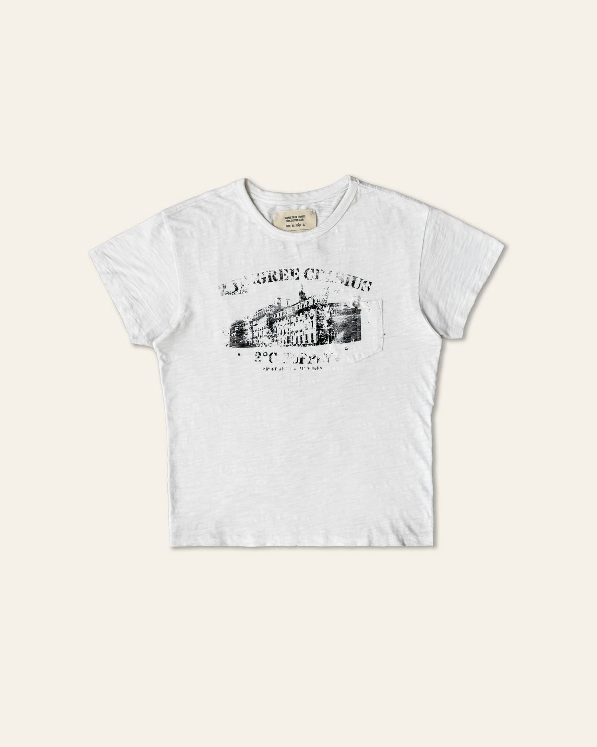 Staple Slub Graphic Tee